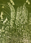 Ramblers iii (the delphiniums).jpeg
