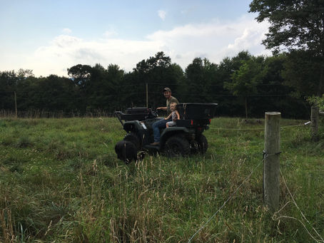 Pics From the Farm