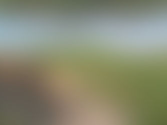 "Looking for a better way to get up outta bed instead of getting on the Internet and checking on who hit me, get up..."