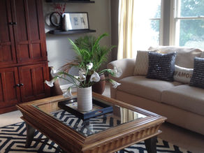 "Broke into the old apartment... this is where we used to live... "