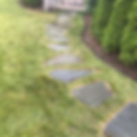 66721557_2027184507387961_6259932370271469568_n