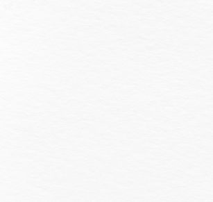 paper-texture (3).jpeg