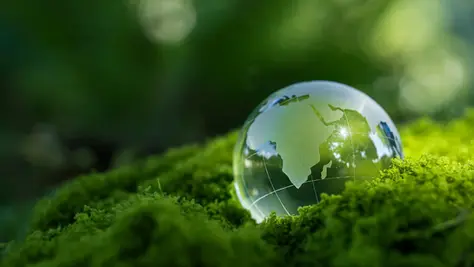 RiskSTOP Group takes next step in decarbonisation journey