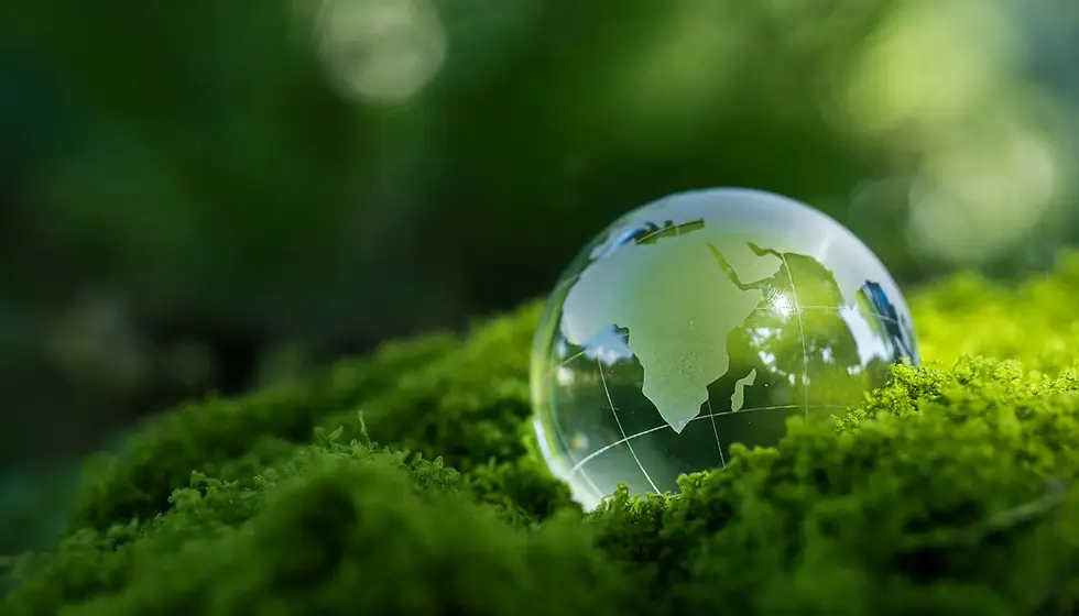 Glass globe reflecting a green earth rests on vibrant moss, with a blurred green background, evoking a serene, natural mood.