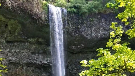 TRUSTING YOUR SEASONS