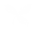 Basil 2_edited.png