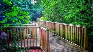 humankind,massage,reiki preston,lancashire, course, meditation