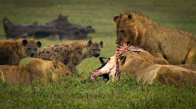 Screen Shot 2020-08-06 at 17.48.34.jpg