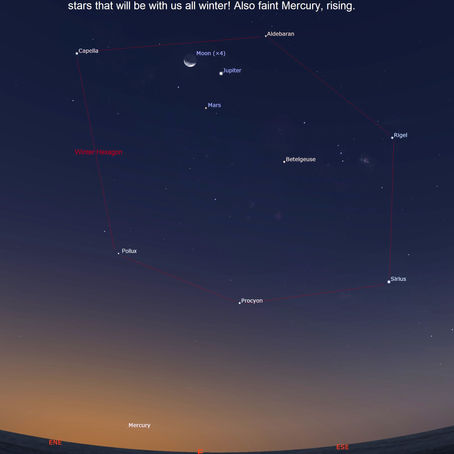 What's Up in SW FL Skies: August is the Perseid Meteor Shower -- also Planets and Constellations this month
