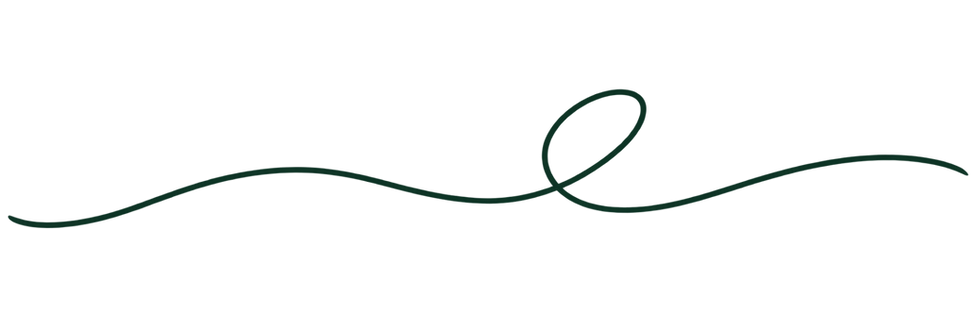 LJ Marsh decorative line