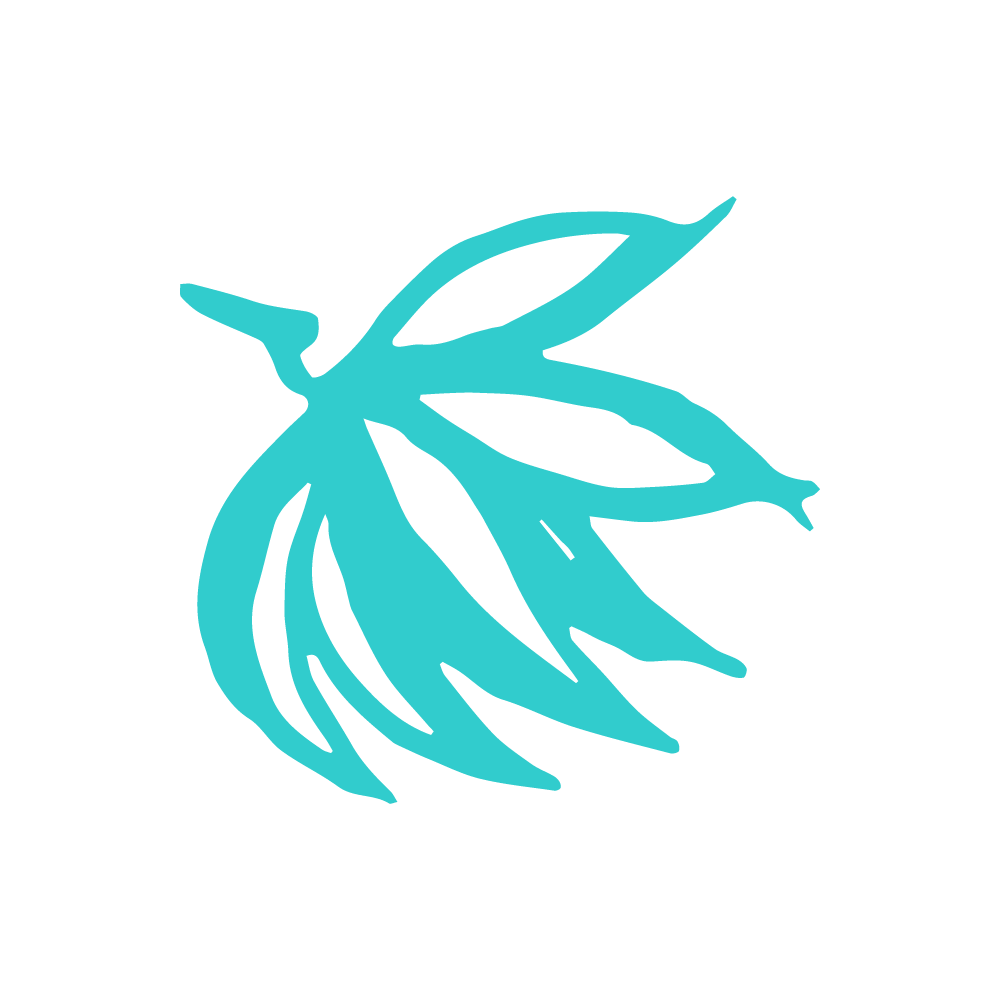 Island afternoon | 杉山清貴