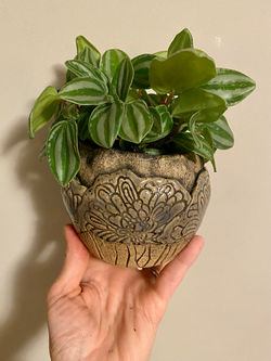 Planter