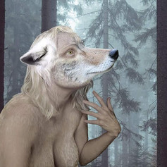 Werewolf at Twilight