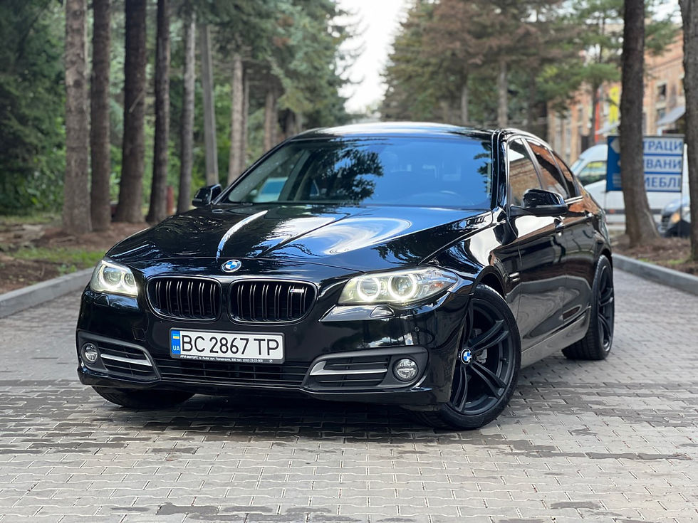 Чорний автомобіль BMW 5 Series, біля хвойних дерев, на бруківці