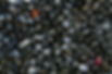 United Kingdom Mussel aquaculture for young professionals, credit to Andy Castille via Unsplash