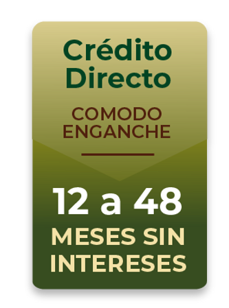 web promo 2_Mesa de trabajo 1.png