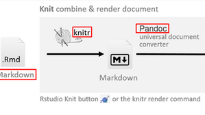 REPORTES CON R-MARKDOWN