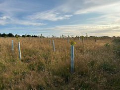 The grower planting nursery cornwall