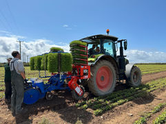 The grower planting nursery cornwall tractor