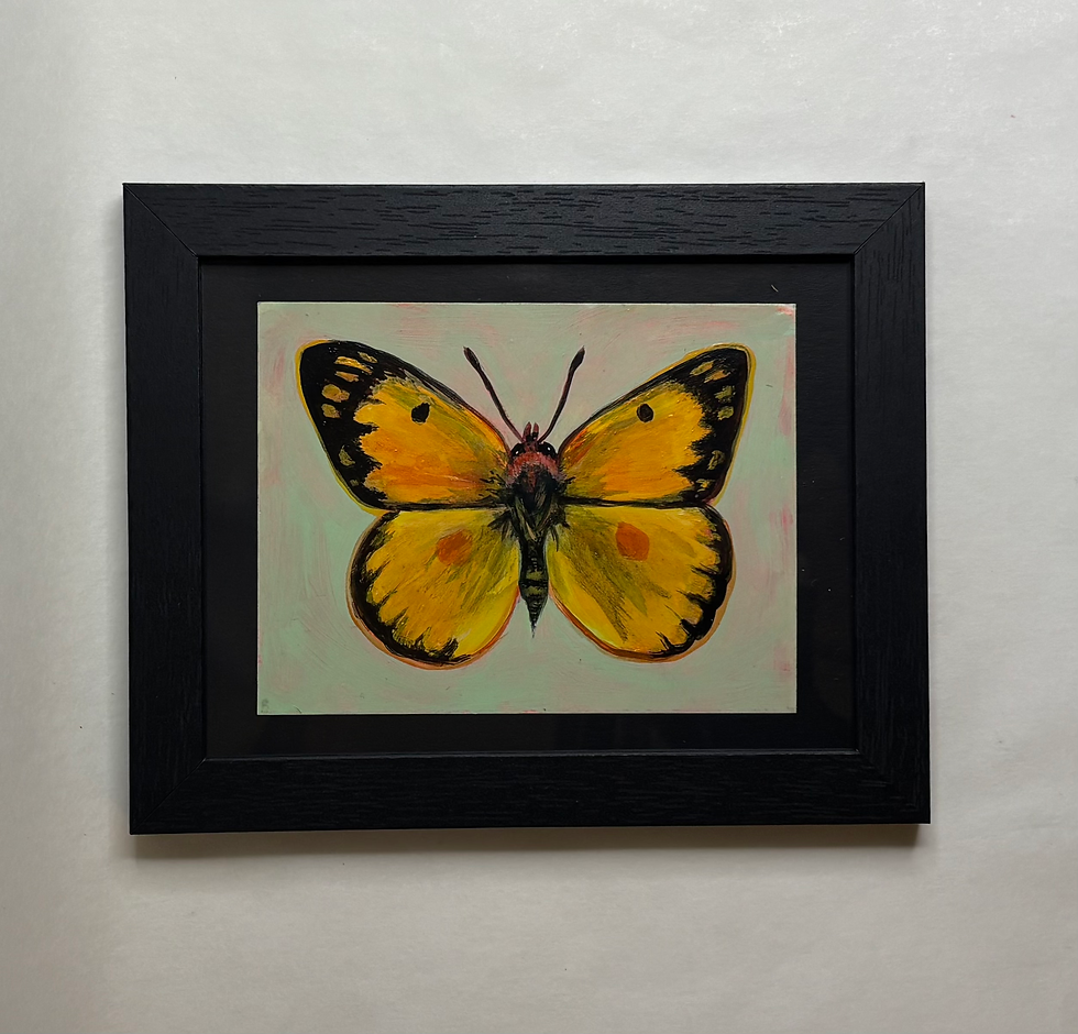 Orange Sulphur- Original Painting