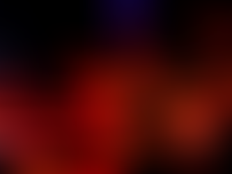 Agenda du 25 au 29 Novembre