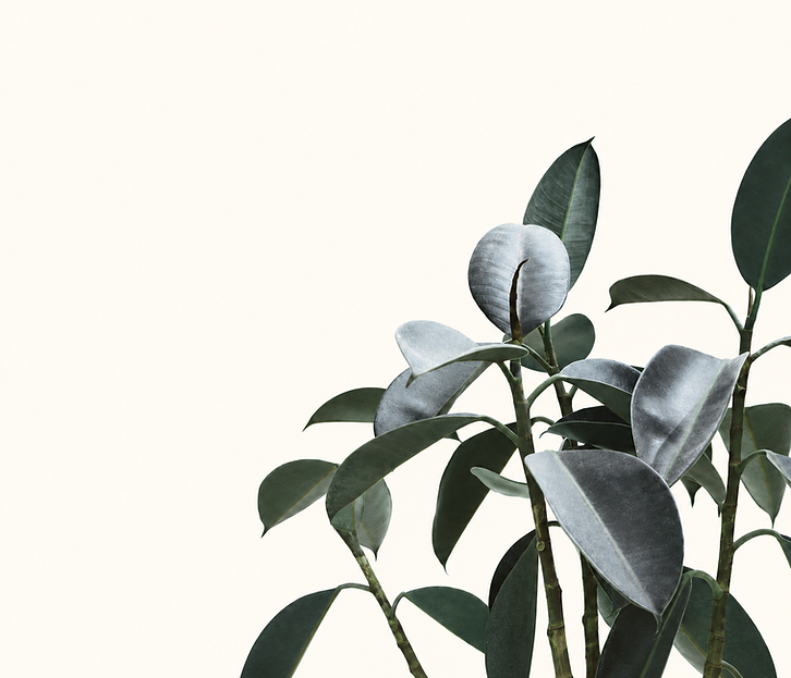 c811e7ad-edb0-4f97-aa3d-f8b6aa3cbf96.png