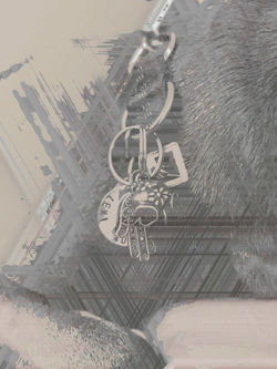 image3A31615_Glitch2 (1)
