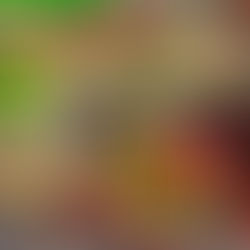 喵咪哈say呦~濟州島記行-5:地方滋味