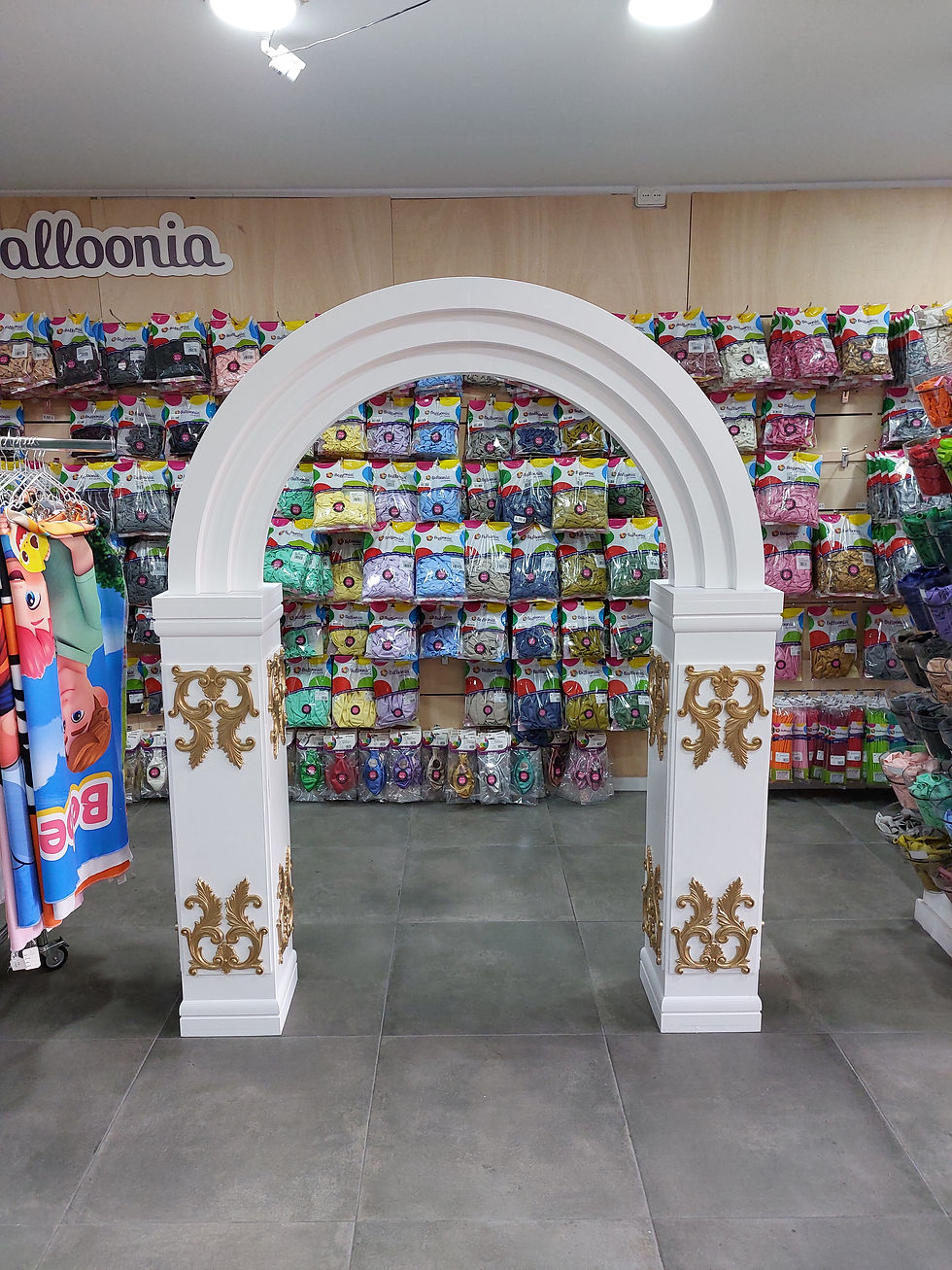 Miniatura: Arco Turin