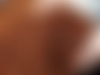 Unearthing the Treasure: The Quest for the Best Coconut Coir