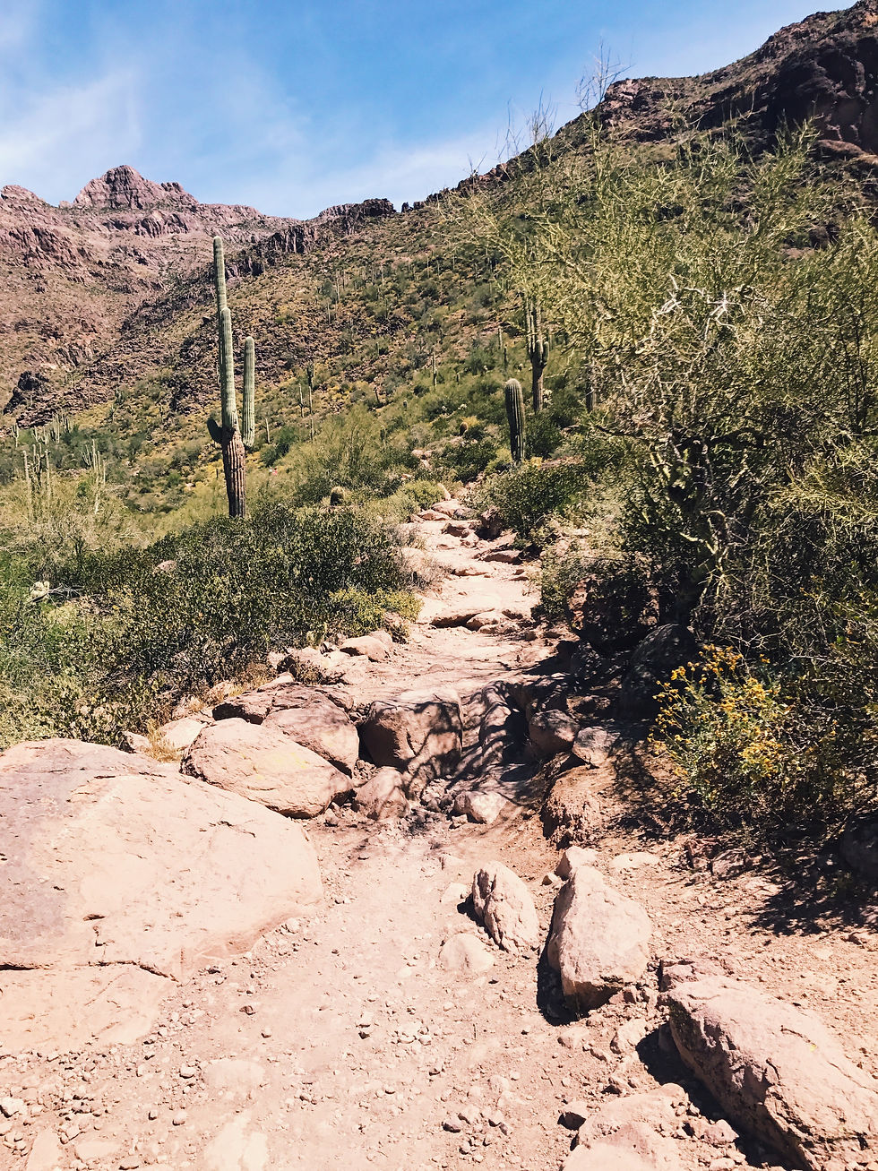 Hieroglyphics Trail