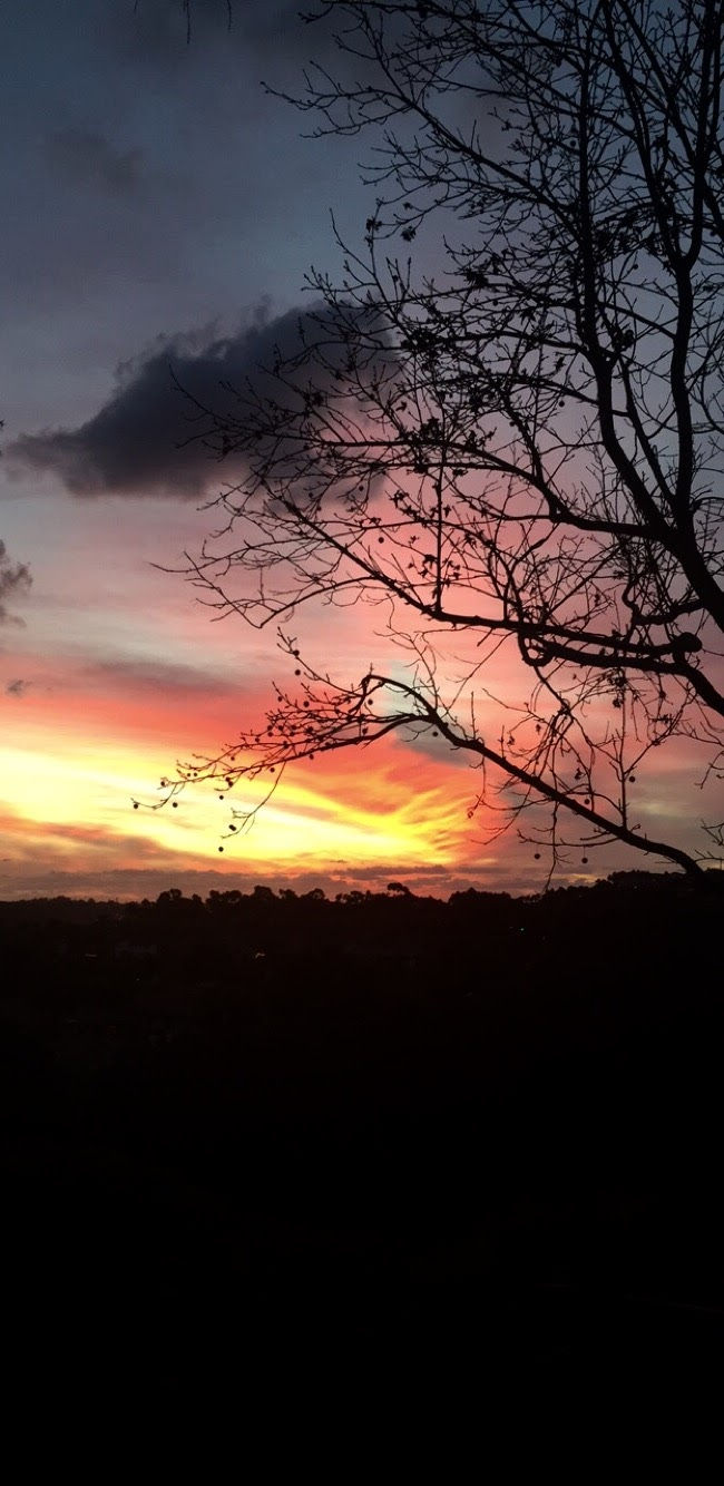 California Sunrise