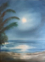 Bright Moonlit Night