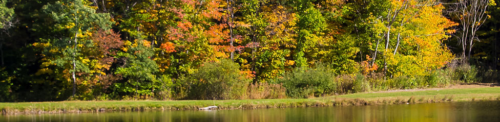 a Drive 7645 (1 of 1).jpg