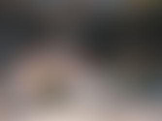 Chasing Japan’s Earliest-Blooming Sakura in Atami