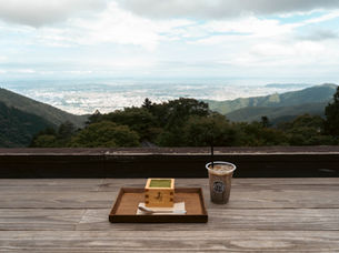 Matcha Tiramisu at the “Big Mountain” Diary entry #9