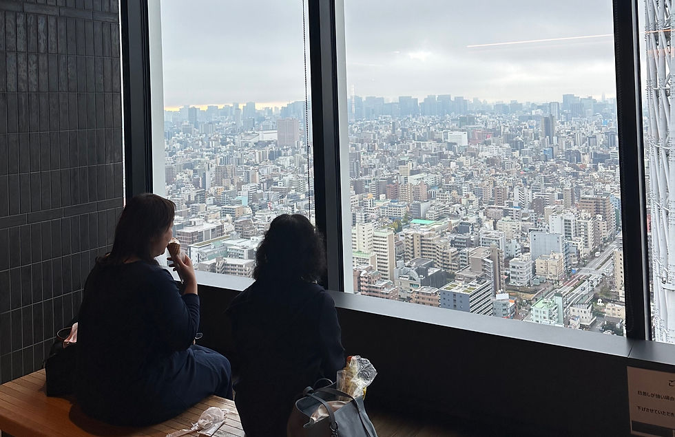 Diary Entry #6 - Sky Town, Kominka and Christmas in November