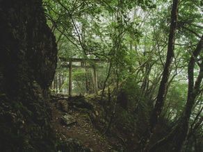 Lost and Found in the Mountains: Hiking to Mitsumine Shrine