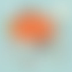 Environmental factors and child cognitive development