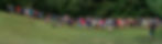 step%20putt%20banner_edited.jpg