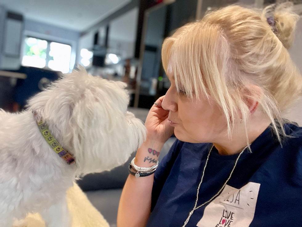 my gorgeous older pet - Henry - long term overnight dog care every year