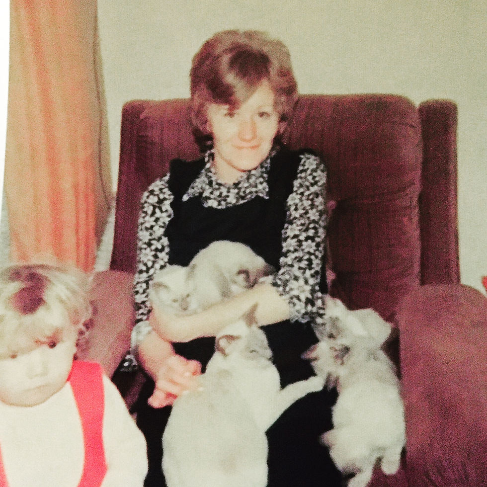 growing up with cats