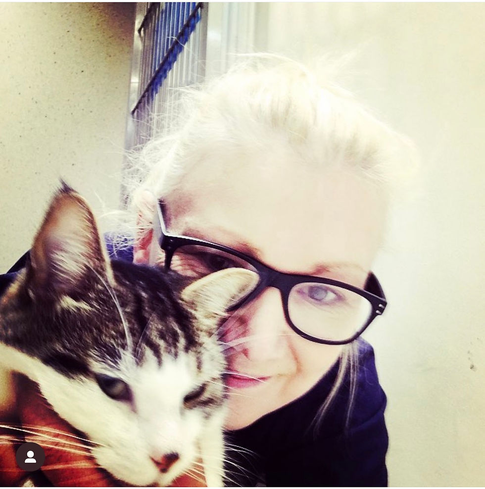 High angle view of a cat happily playing with a pet sitter in a London living room