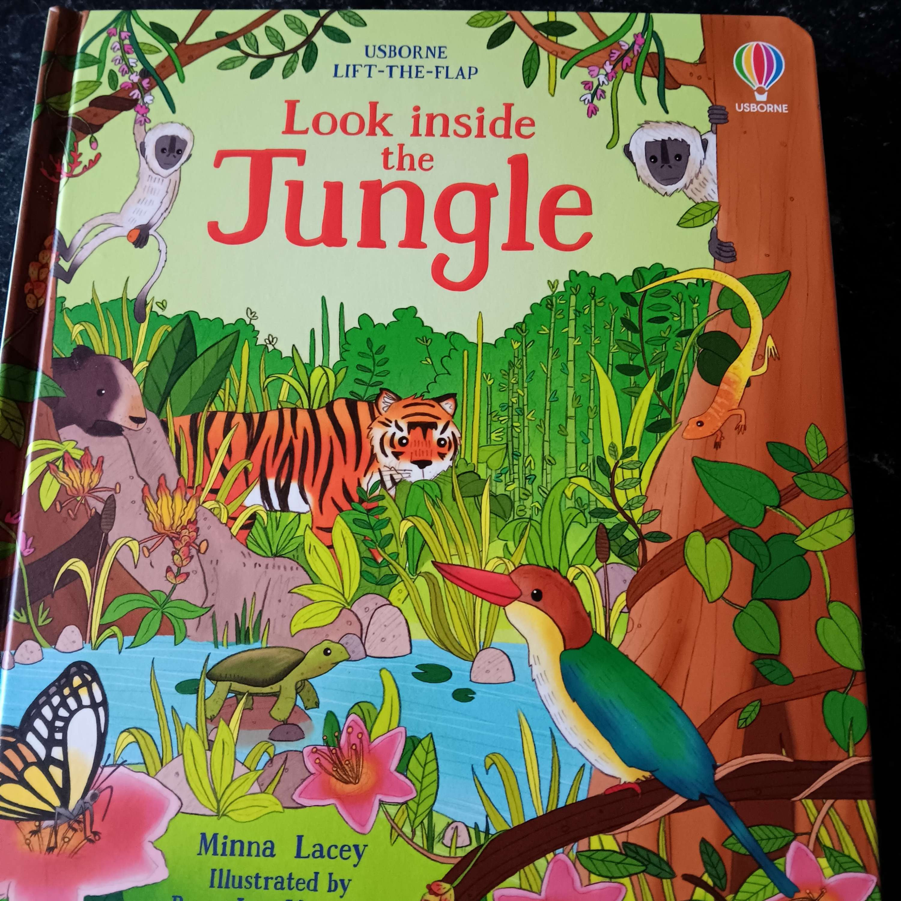 Usborne Book - Look inside the Jungle