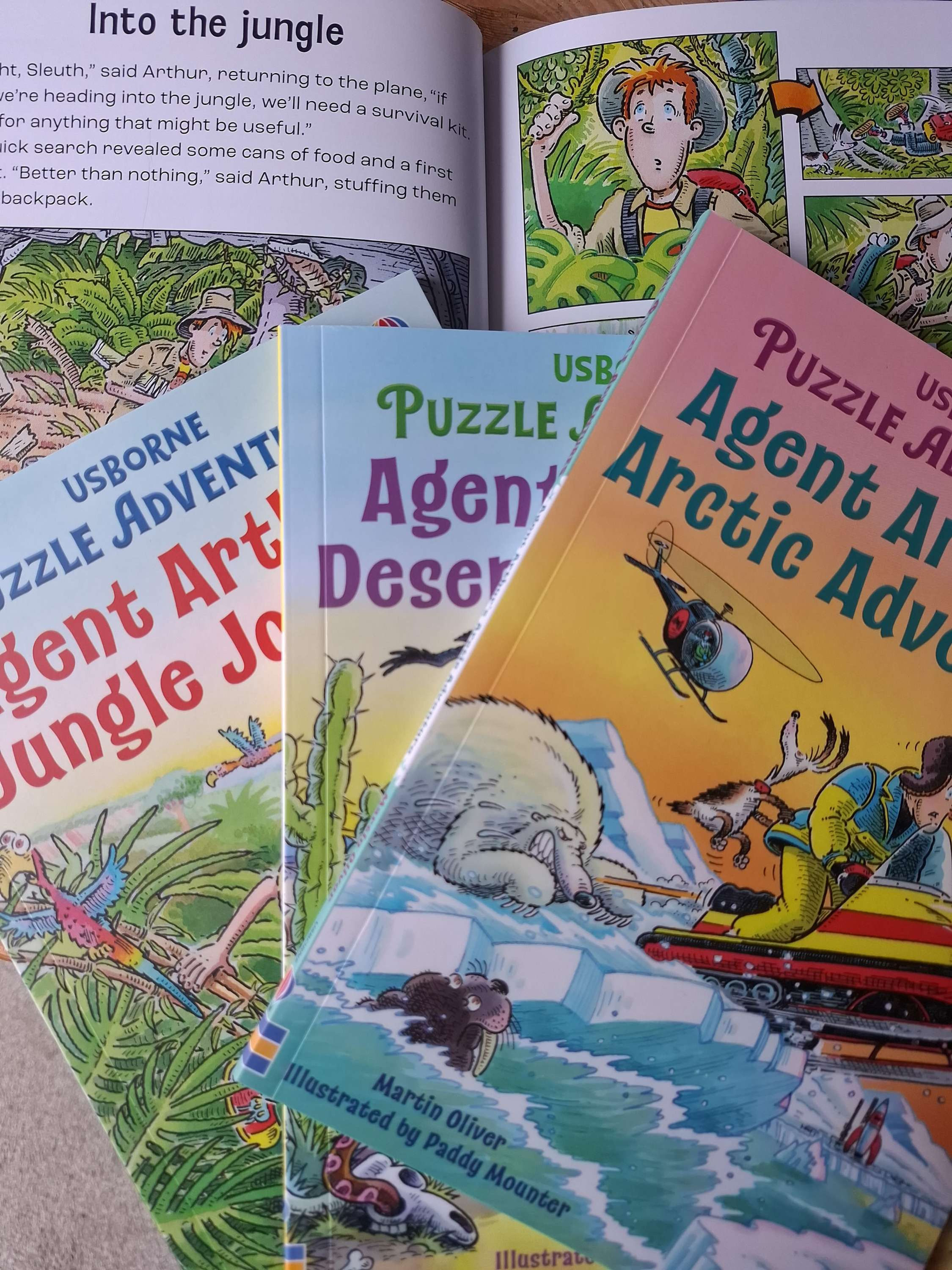 Clearance - Usborne puzzle adventure book