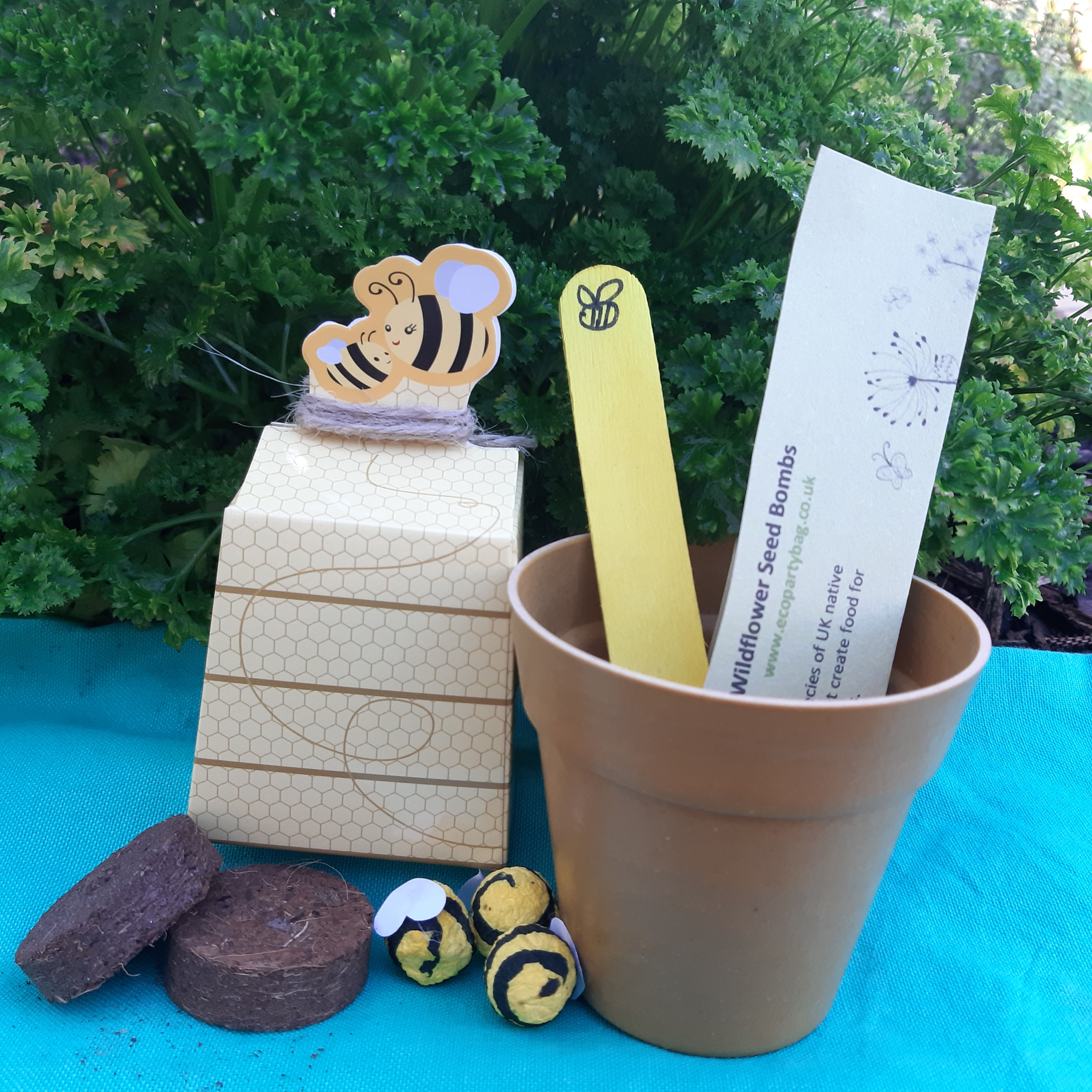Beehive Wildflower Growing Set