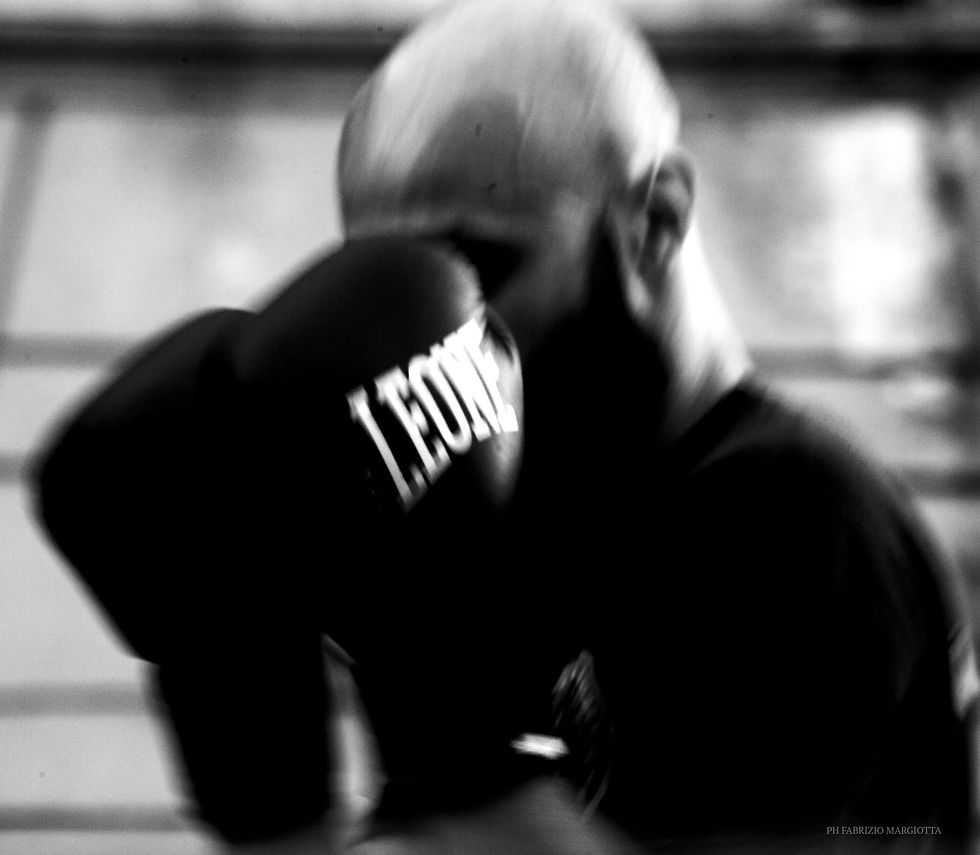 The boxer