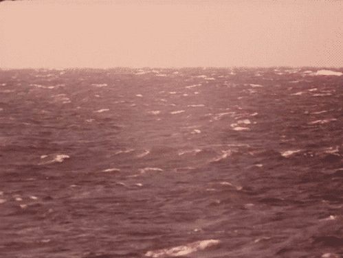 tumblr_m83etcAkPQ1qb5tu1o1_500.gif