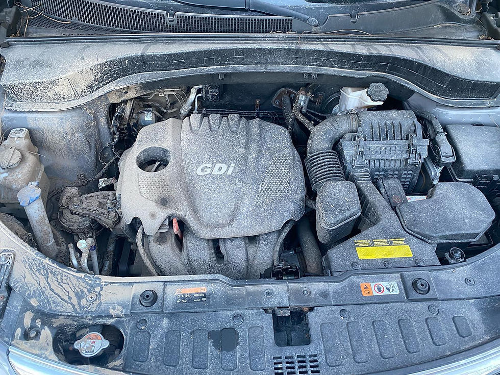 Engine Bay Cleaning