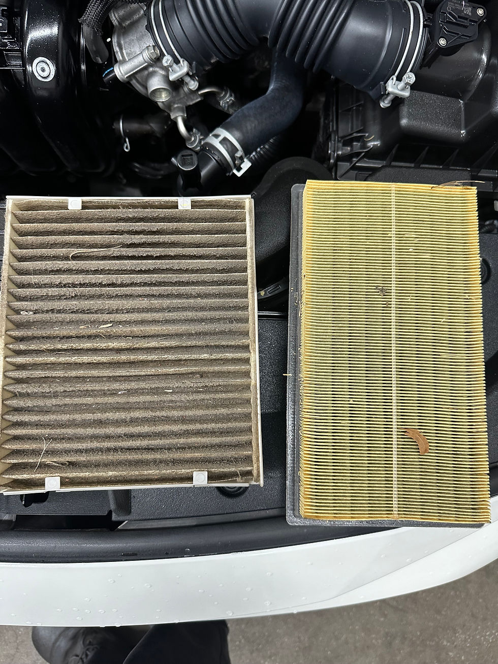 Filter Inspection